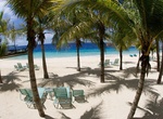 Stay at Harbour Village Beach Club, Bonaire