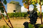 Bordeaux Super Saver: Gourmet Food Walking Tour with Lunch plus Médoc Wine Tasting