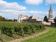 Bordeaux Super Saver: Small-Group Wine Tasting and Lunch plus St-Emilion Wine Tour