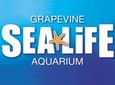 SEA LIFE Aquarium Dallas Admission Ticket