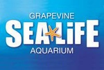 SEA LIFE Aquarium Dallas Admission Ticket
