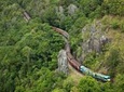 Skip the Line: Kuranda Scenic Railway Gold Class and Skyrail Rainforest Cableway