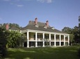 Swamp Boat Ride and Southern Plantation Tour from New Orleans