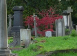 Visit West Norwood Cemetery, London, England