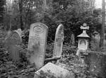 Visit The Magnificent Seven Cemeteries, London, England