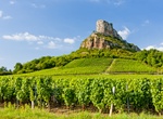 Wine Tasting in Mâconnais Wine Region, France