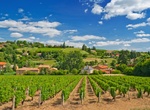 Wine Tasting in Beaujolais, France