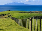 Explore Tawharanui Peninsula, New Zealand