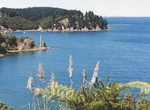 Visit Kawau island, New Zealand