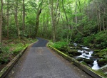 Drive Roaring Fork Motor Trail, Great Smoky Mountains National Park, Tennessee