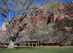 Stay at Zion Lodge, Zion National Park, Utah