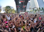 Attend Ultra Music Festival