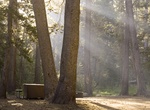 Camp at a Backpackers Campground, Yosemite National Park