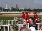Attend Sydney Carnival, Australia