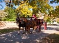 Colonial Williamsburg Admission