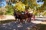 Colonial Williamsburg Admission