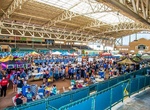 Attend San Diego International Beer Festival, California