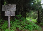 Hike Bullhead Trail, Great Smoky Mountains National Park, Tennessee