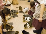 Drink at Temari No Ouchi Cat Cafe, Tokyo, Japan