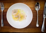 Dine at Estela, New York, New York