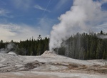 See Lion Geyser, Upper Geyser Basin, Yellowstone National Park