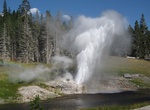 See Riverside Geyser, Yellowstone National Park