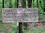 Hike Gregory Ridge Trail, Gregory Bald Mountain, Tennessee
