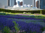Explore Lurie Garden, Chicago, Illinois
