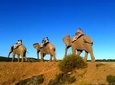 3-Day Garden Route Highlights with 4x4 Safari Small Group Tour from Cape Town