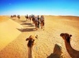 Camel Desert Safari with Traditional Dinner & Heritage Activities from Dubai