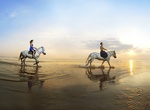 Ride Horses across the Beach