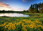 Visit Morton Arboretum, Lisle, Illinois