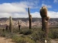 2-Day Calchaquí Valley Tour to Cachi and Cafayate
