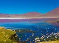 Atacama Salt Flat Lagoons Tour Including Ojos del Salar from San Pedro de Atacama