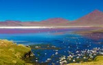 Atacama Salt Flat Lagoons Tour Including Ojos del Salar from San Pedro de Atacama