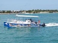 Key West Shark and Wildlife Catamaran Tour