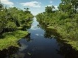 New Orleans Airboat Ride