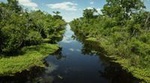 New Orleans Airboat Ride