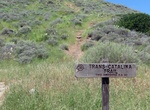 Hike Trans-Catalina Trail (TCT), California