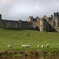 Alnwick Castle, the Northumberland Coast & the Borders Day Tour from Edinburgh