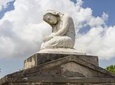 New Orleans St. Louis #1 Cemetery, Voodoo, and French Quarter Tour