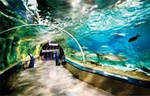 Istanbul Aquarium and Aqua Florya Independent Shopping Trip