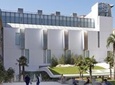 Private Tour: Thyssen-Bornemisza Museum with Skip-the-Line Access