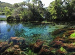 Visit Te Waikoropupū Springs (Pupu Springs), New Zealand