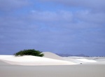 Visit Boa Vista, Cape Verde
