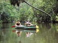Cruise 'n' Canoe to Australia's Everglades