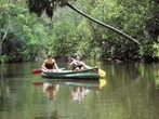 Cruise 'n' Canoe to Australia's Everglades