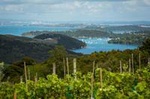 Full Day Waiheke Island Tour: Ziplining, Wine Tasting and Vineyard Lunch