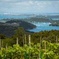 Full Day Waiheke Island Tour: Ziplining, Wine Tasting and Vineyard Lunch