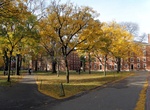 Explore Harvard Yard, Cambridge, Massachusetts